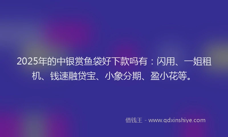 2025年的中银赏鱼袋好下款吗有：闪用、一姐租机、钱速融贷宝、小象分期、盈小花等。
