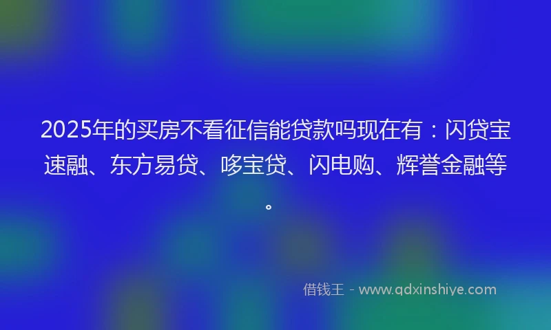 2025年的买房不看征信能贷款吗现在有：闪贷宝速融、东方易贷、哆宝贷、闪电购、辉誉金融等。