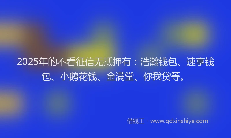 2025年的不看征信无抵押有：浩瀚钱包、速享钱包、小鹅花钱、金满堂、你我贷等。