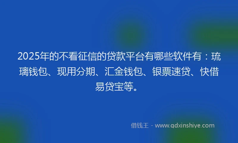 2025年的不看征信的贷款平台有哪些软件有：琉璃钱包、现用分期、汇金钱包、银票速贷、快借易贷宝等。