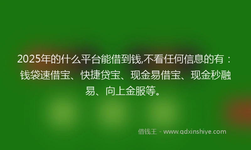 2025年的什么平台能借到钱,不看任何信息的有：钱袋速借宝、快捷贷宝、现金易借宝、现金秒融易、向上金服等。