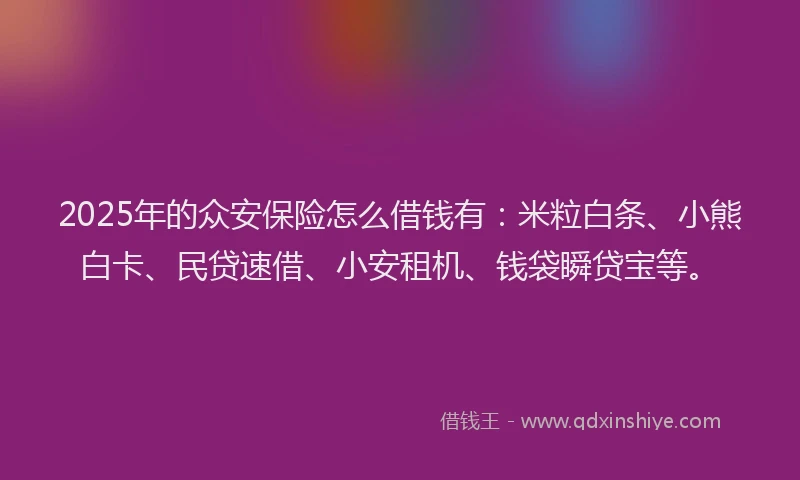 2025年的众安保险怎么借钱有：米粒白条、小熊白卡、民贷速借、小安租机、钱袋瞬贷宝等。