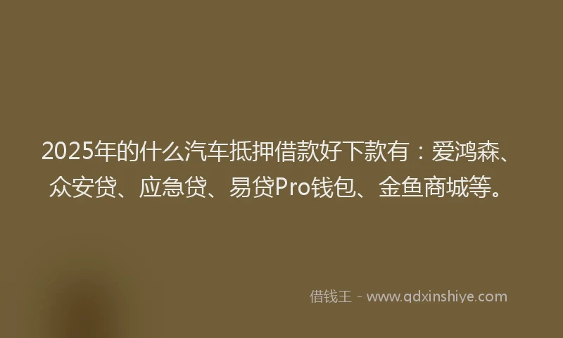 2025年的什么汽车抵押借款好下款有：爱鸿森、众安贷、应急贷、易贷Pro钱包、金鱼商城等。