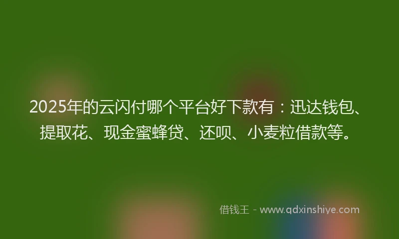2025年的云闪付哪个平台好下款有：迅达钱包、提取花、现金蜜蜂贷、还呗、小麦粒借款等。