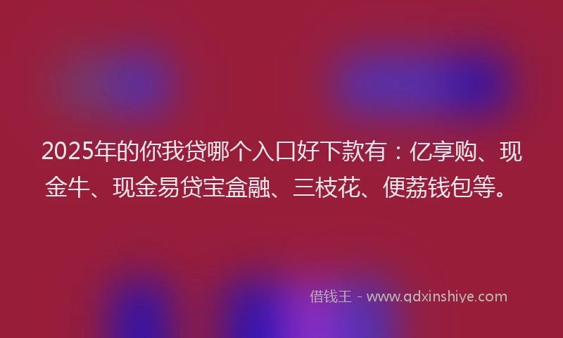 2025年的你我贷哪个入口好下款有：亿享购、现金牛、现金易贷宝盒融、三枝花、便荔钱包等。