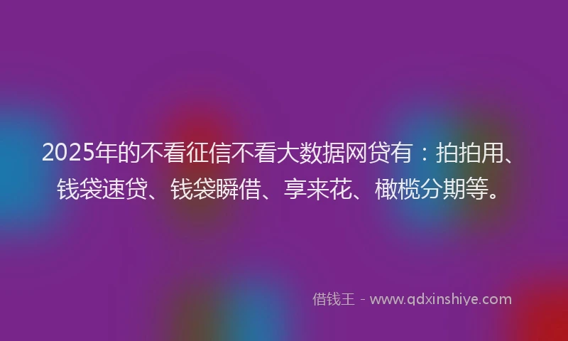 2025年的不看征信不看大数据网贷有:拍拍用、钱袋速贷、钱袋瞬借、享来花、橄榄分期等。