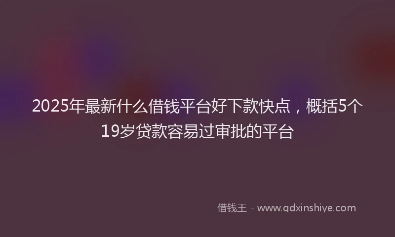 2025年最新什么借钱平台好下款快点，概括5个19岁贷款容易过审批的平台