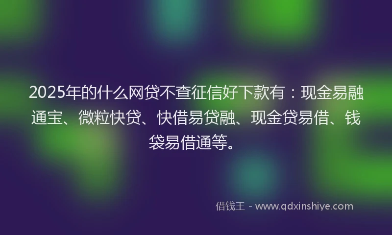 2025年的什么网贷不查征信好下款有：现金易融通宝、微粒快贷、快借易贷融、现金贷易借、钱袋易借通等。