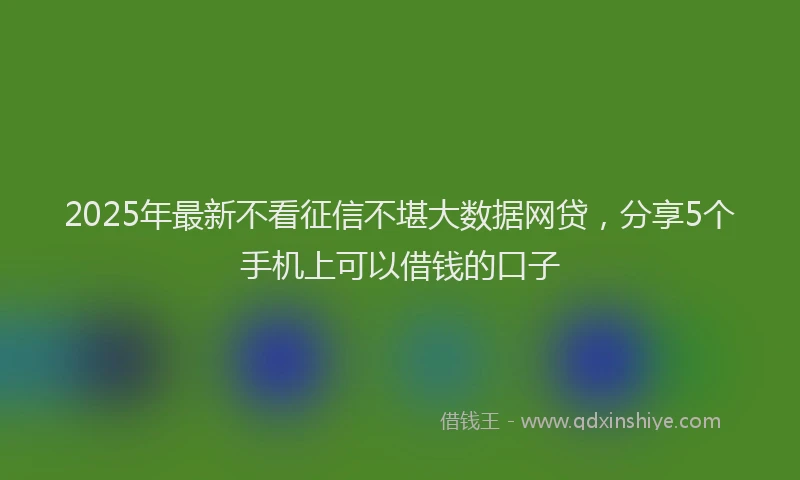 2025年最新不看征信不堪大数据网贷，分享5个手机上可以借钱的口子