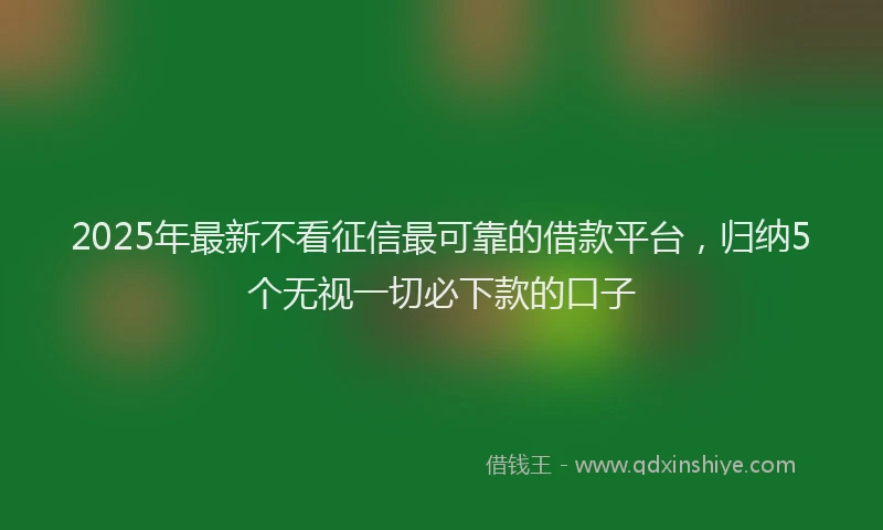 2025年最新不看征信最可靠的借款平台，归纳5个无视一切必下款的口子