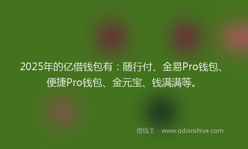 2025年的亿借钱包有：随行付、金易Pro钱包、便捷Pro钱包、金元宝、钱满满等。