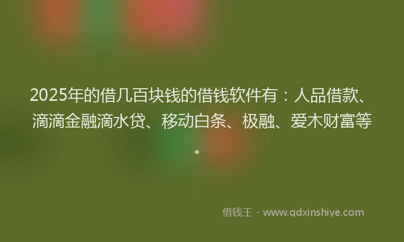 2025年的借几百块钱的借钱软件有：人品借款、滴滴金融滴水贷、移动白条、极融、爱木财富等。
