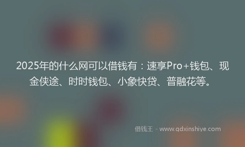 2025年的什么网可以借钱有：速享Pro+钱包、现金侠途、时时钱包、小象快贷、普融花等。