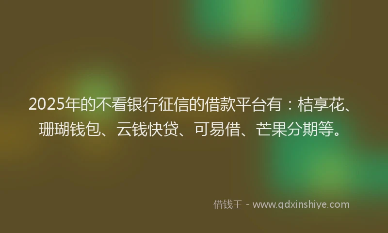 2025年的不看银行征信的借款平台有：桔享花、珊瑚钱包、云钱快贷、可易借、芒果分期等。