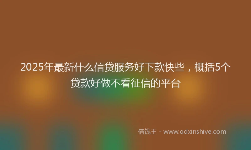 2025年最新什么信贷服务好下款快些，概括5个贷款好做不看征信的平台