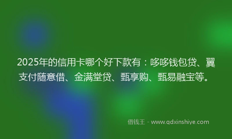 2025年的信用卡哪个好下款有：哆哆钱包贷、翼支付随意借、金满堂贷、甄享购、甄易融宝等。