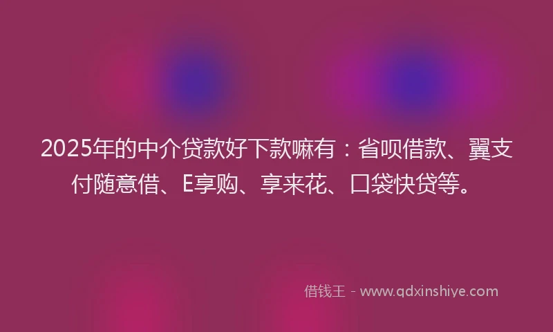 2025年的中介贷款好下款嘛有：省呗借款、翼支付随意借、E享购、享来花、口袋快贷等。