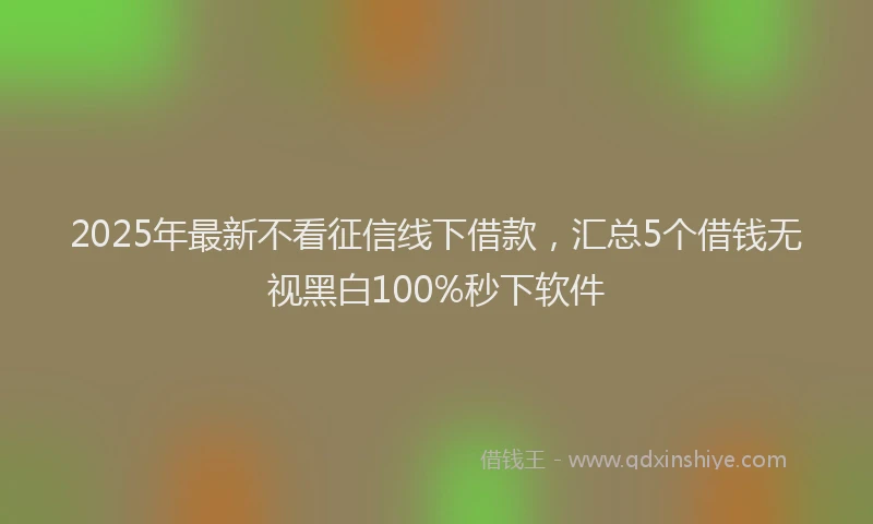 2025年最新不看征信线下借款，汇总5个借钱无视黑白100%秒下软件