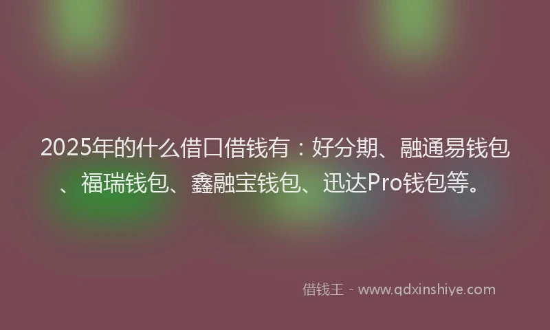 2025年的什么借口借钱有：好分期、融通易钱包、福瑞钱包、鑫融宝钱包、迅达Pro钱包等。