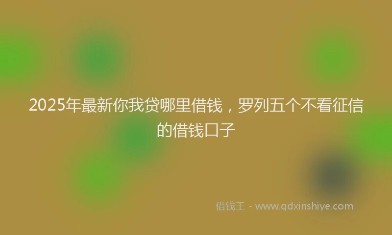 2025年最新你我贷哪里借钱，罗列五个不看征信的借钱口子