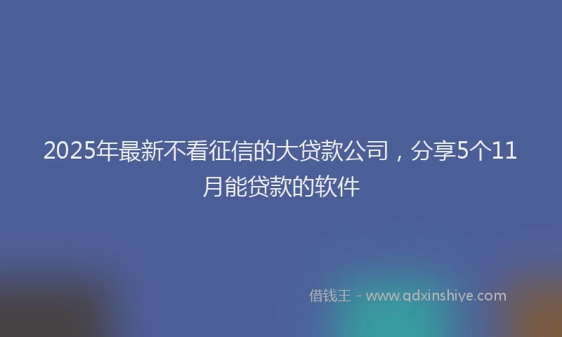 2025年最新不看征信的大贷款公司，分享5个11月能贷款的软件