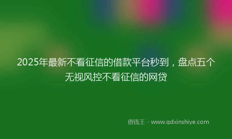 2025年最新不看征信的借款平台秒到，盘点五个无视风控不看征信的网贷