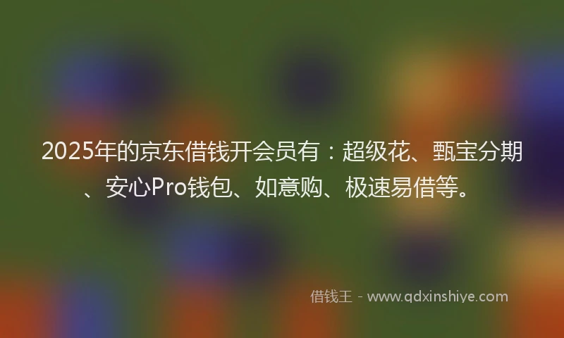2025年的京东借钱开会员有：超级花、甄宝分期、安心Pro钱包、如意购、极速易借等。