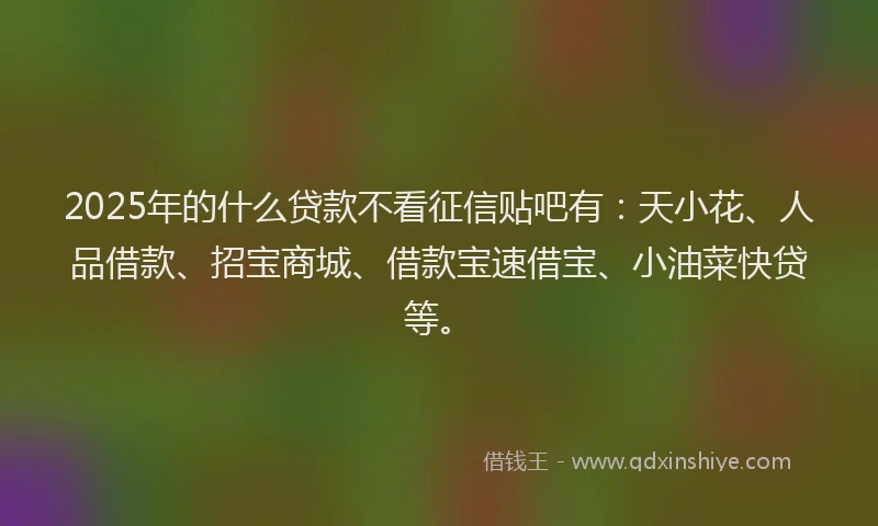 2025年的什么贷款不看征信贴吧有：天小花、人品借款、招宝商城、借款宝速借宝、小油菜快贷等。