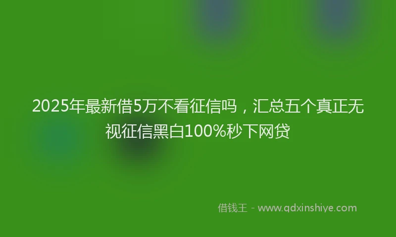 2025年最新借5万不看征信吗，汇总五个真正无视征信黑白100%秒下网贷