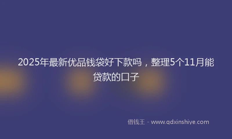 2025年最新优品钱袋好下款吗，整理5个11月能贷款的口子