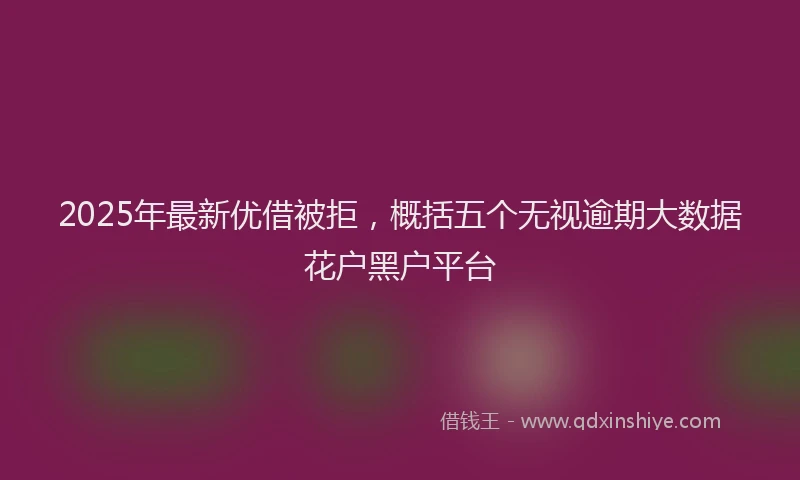 2025年最新优借被拒，概括五个无视逾期大数据花户黑户平台
