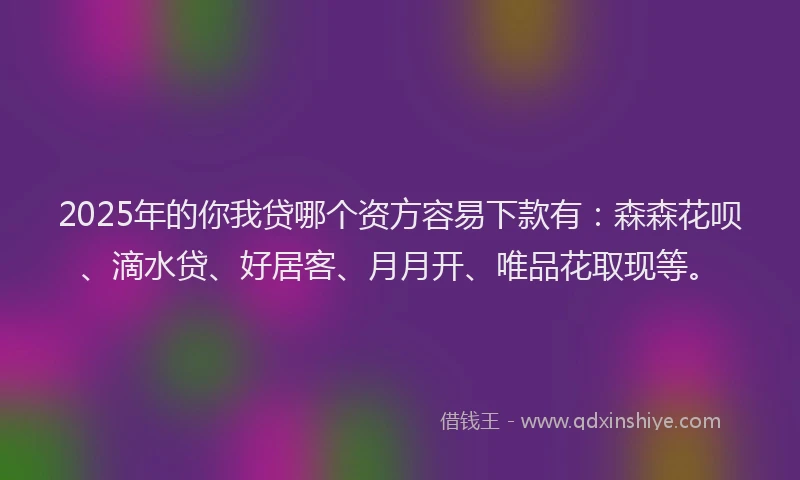 2025年的你我贷哪个资方容易下款有：森森花呗、滴水贷、好居客、月月开、唯品花取现等。