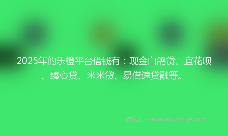 2025年的乐橙平台借钱有：现金白鸽贷、宜花呗、臻心贷、米米贷、易借速贷融等。