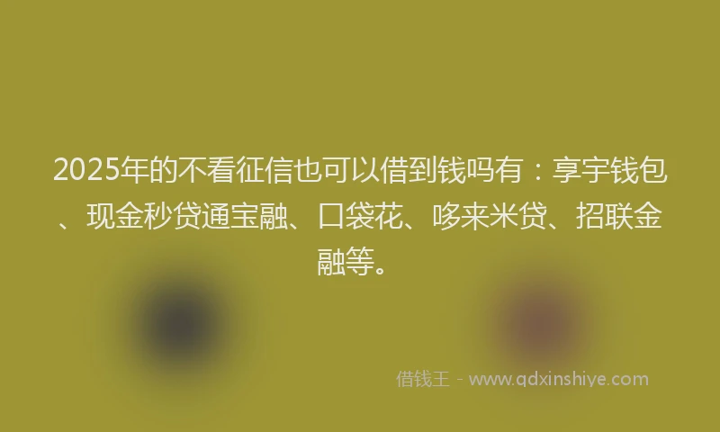 2025年的不看征信也可以借到钱吗有：享宇钱包、现金秒贷通宝融、口袋花、哆来米贷、招联金融等。