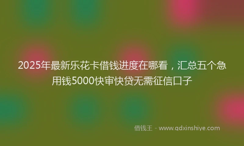 2025年最新乐花卡借钱进度在哪看，汇总五个急用钱5000快审快贷无需征信口子