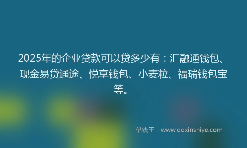 2025年的企业贷款可以贷多少有：汇融通钱包、现金易贷通途、悦享钱包、小麦粒、福瑞钱包宝等。