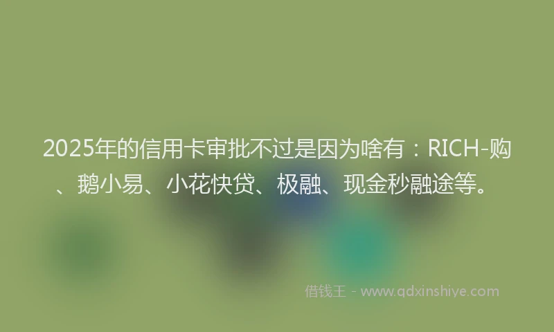 2025年的信用卡审批不过是因为啥有：RICH-购、鹅小易、小花快贷、极融、现金秒融途等。