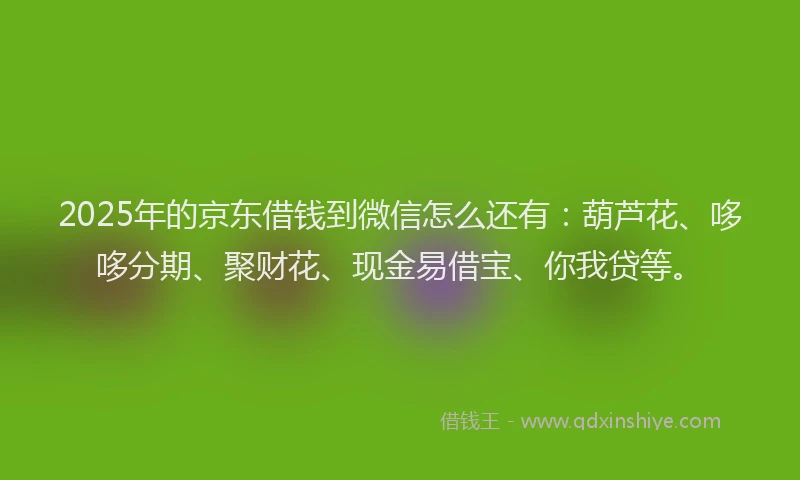 2025年的京东借钱到微信怎么还有：葫芦花、哆哆分期、聚财花、现金易借宝、你我贷等。