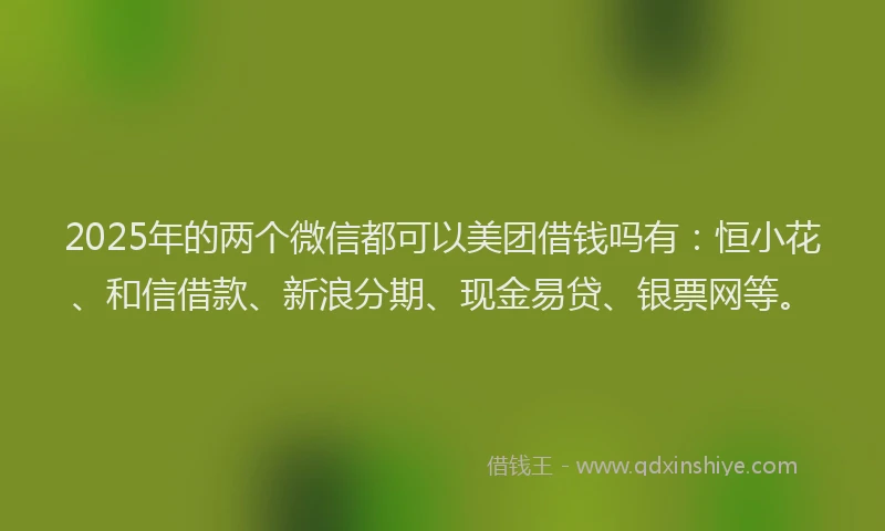 2025年的两个微信都可以美团借钱吗有：恒小花、和信借款、新浪分期、现金易贷、银票网等。
