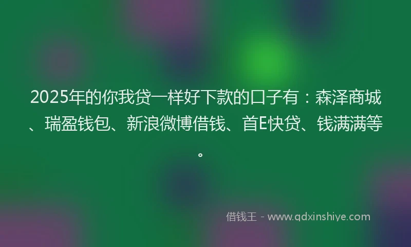 2025年的你我贷一样好下款的口子有：森泽商城、瑞盈钱包、新浪微博借钱、首E快贷、钱满满等。