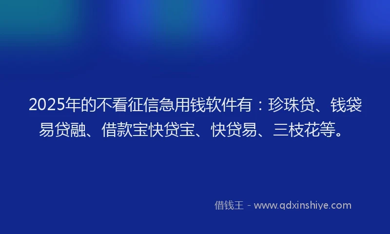 2025年的不看征信急用钱软件有：珍珠贷、钱袋易贷融、借款宝快贷宝、快贷易、三枝花等。