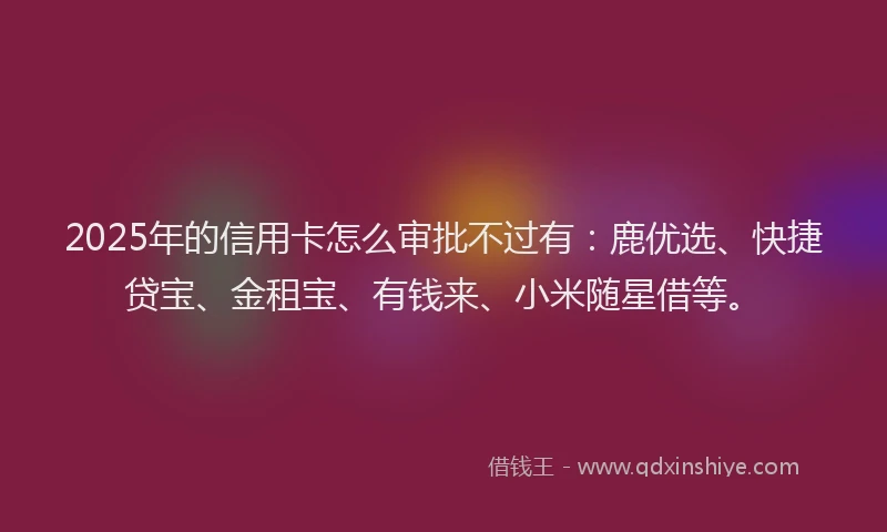 2025年的信用卡怎么审批不过有：鹿优选、快捷贷宝、金租宝、有钱来、小米随星借等。