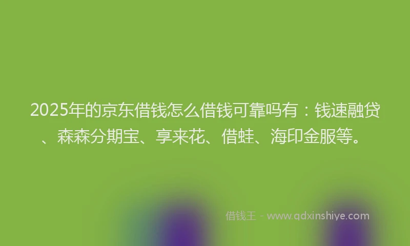 2025年的京东借钱怎么借钱可靠吗有：钱速融贷、森森分期宝、享来花、借蛙、海印金服等。