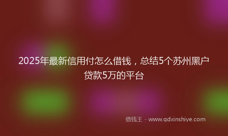 2025年最新信用付怎么借钱，总结5个苏州黑户贷款5万的平台