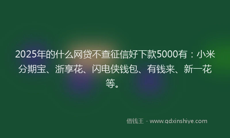 2025年的什么网贷不查征信好下款5000有：小米分期宝、浙享花、闪电侠钱包、有钱来、新一花等。