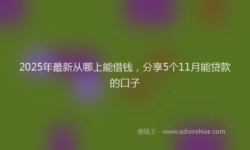 2025年最新从哪上能借钱，分享5个11月能贷款的口子