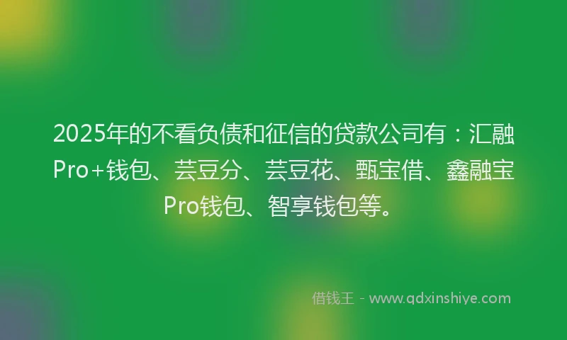 2025年的不看负债和征信的贷款公司有：汇融Pro+钱包、芸豆分、芸豆花、甄宝借、鑫融宝Pro钱包、智享钱包等。