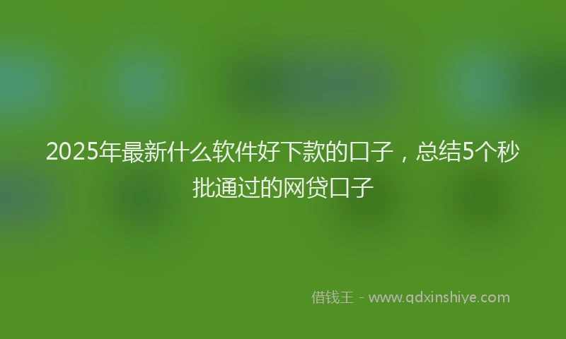 2025年最新什么软件好下款的口子，总结5个秒批通过的网贷口子