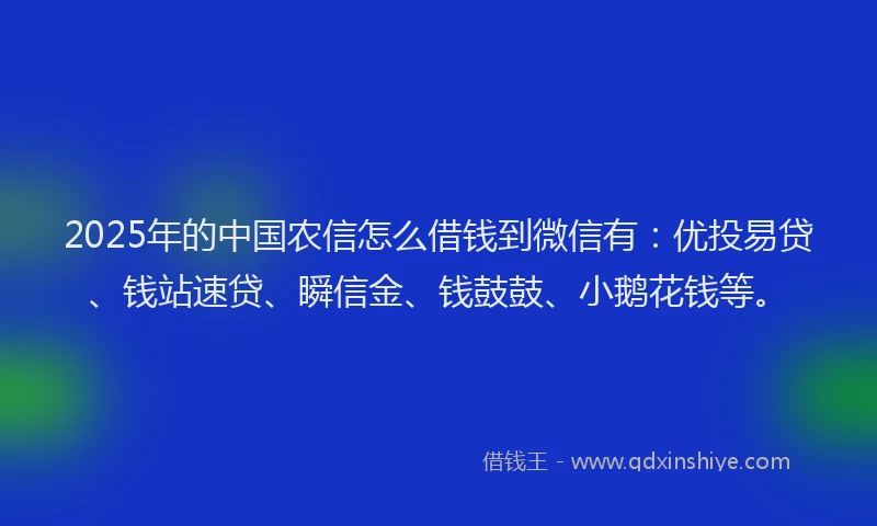 2025年的中国农信怎么借钱到微信有：优投易贷、钱站速贷、瞬信金、钱鼓鼓、小鹅花钱等。