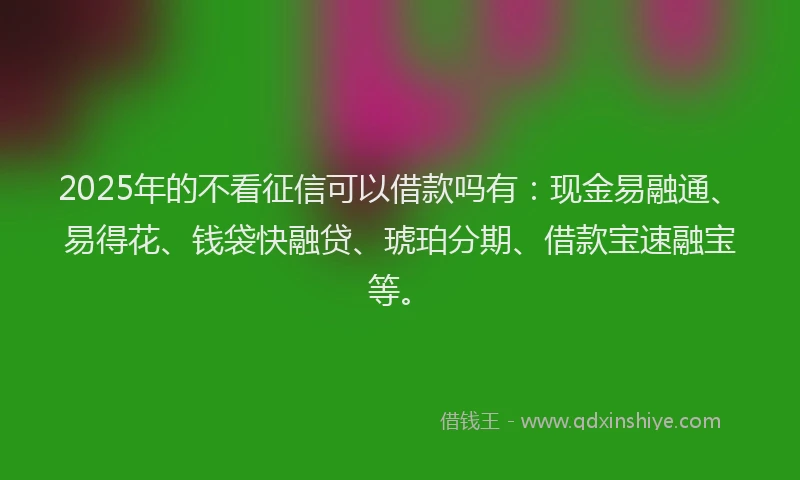 2025年的不看征信可以借款吗有：现金易融通、易得花、钱袋快融贷、琥珀分期、借款宝速融宝等。